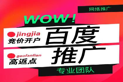 竞价推广公司案例揭秘：如何利用数据分析提升广告效果